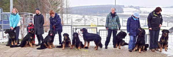 Danea, Dora, Desiree, Cilli Betty, Crissy, Dana/Sally, Delo u Duke